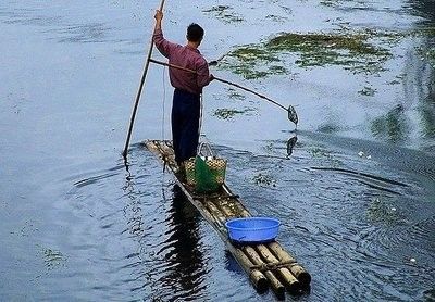 到"水过洲渡口"电鱼