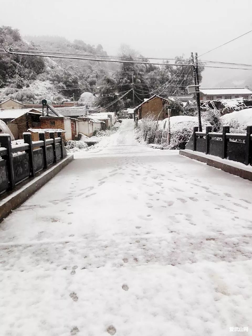 2017年的第一场雪比往年来得更早一些!你那里下雪了吗?