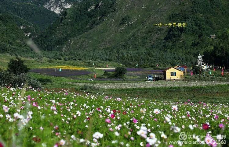 和县婚纱摄影_婚纱摄影(3)