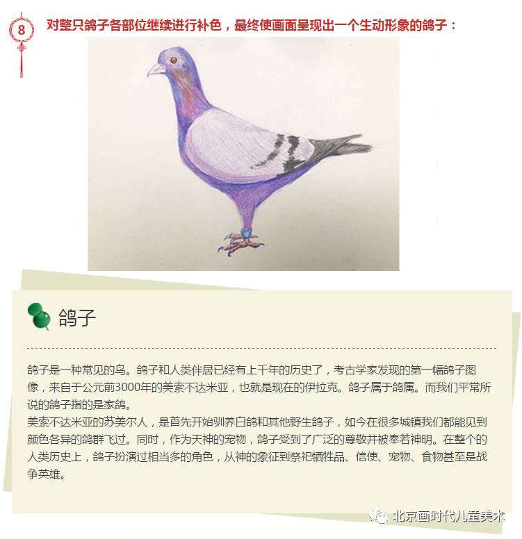 【21天免费学画画高级课】彩铅绘画之鸽子