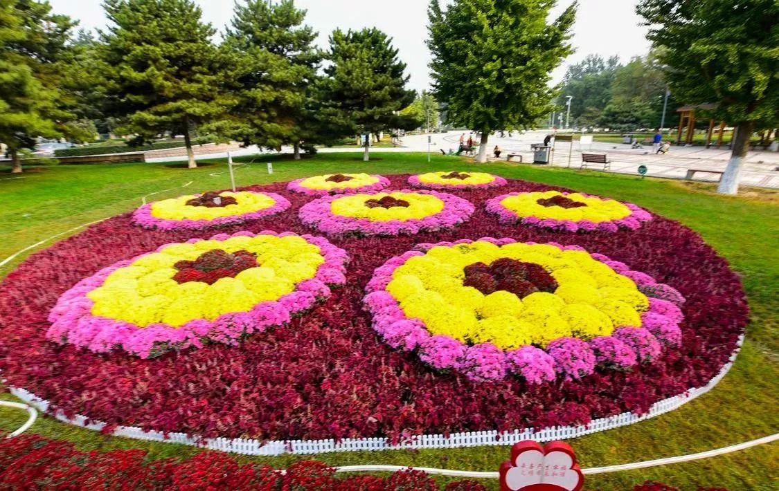 十一逛昌平,精美花坛扮靓亢山广场