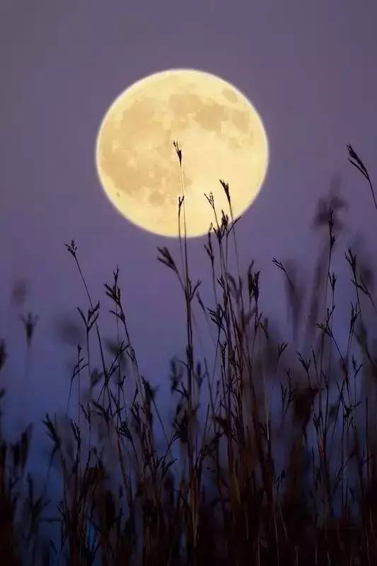 中秋赏月对联诗词集锦，重新发现中秋之美！