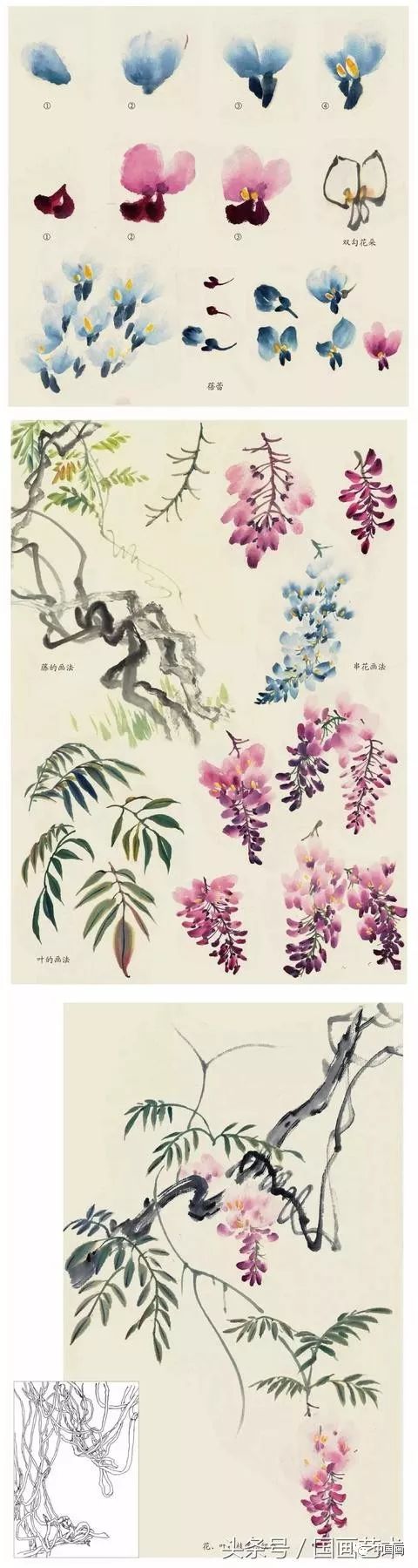 水仙,玉兰,芍药等8种花卉写意画法图解