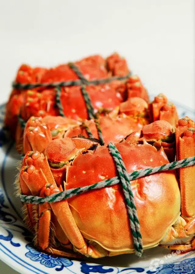 螃蟹煲的螃蟹怎么吃