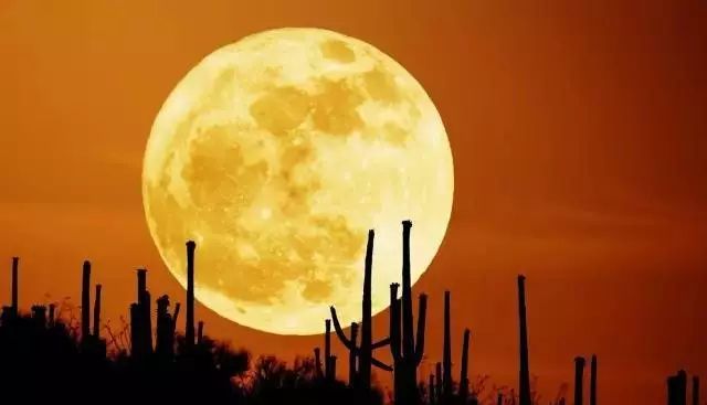 虽然根据"月相"来说,每月十五,十六日都逢月圆,但古人确认为