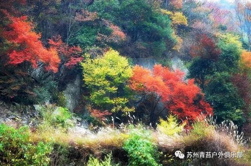 【活动召集】10/27-29探寻醉美秋色之岳西鹞落坪十里画廊多枝尖徒步行