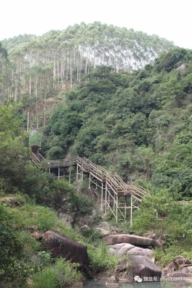 后前往【潮州紫莲度假旅游区,中餐于紫莲餐厅品尝纯正的农家宴;紫莲