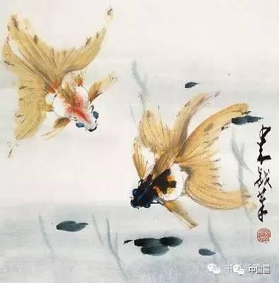 花鸟大师赵少昂,画鱼也精彩!