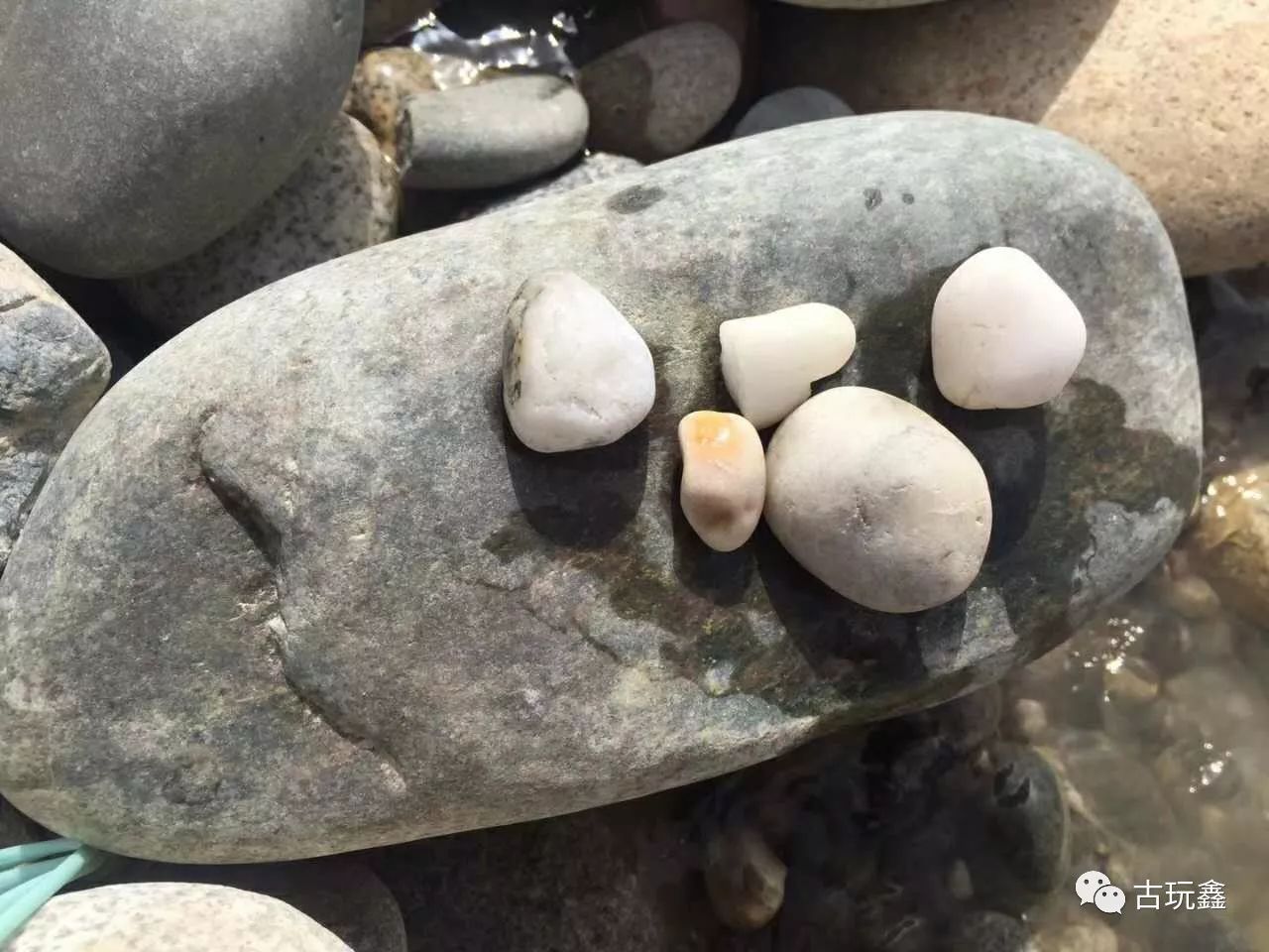 为找和田玉,游客在玉龙喀什河捡石头