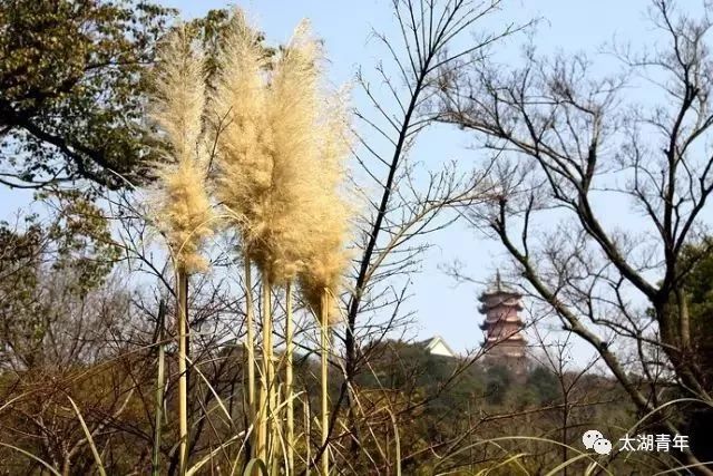 （攻略无锡）天气时阴时雨，如何用有限的时间