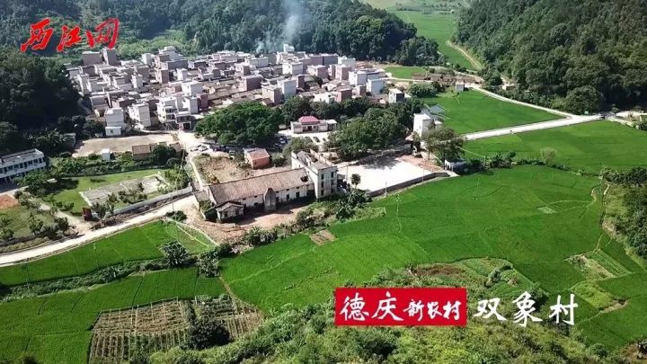 马岗村人口_马岗鹅苗图片(3)