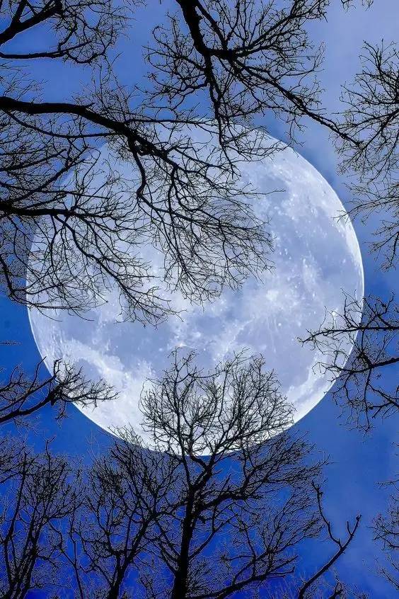 世界上最美的月亮,中秋有你,月更圆!