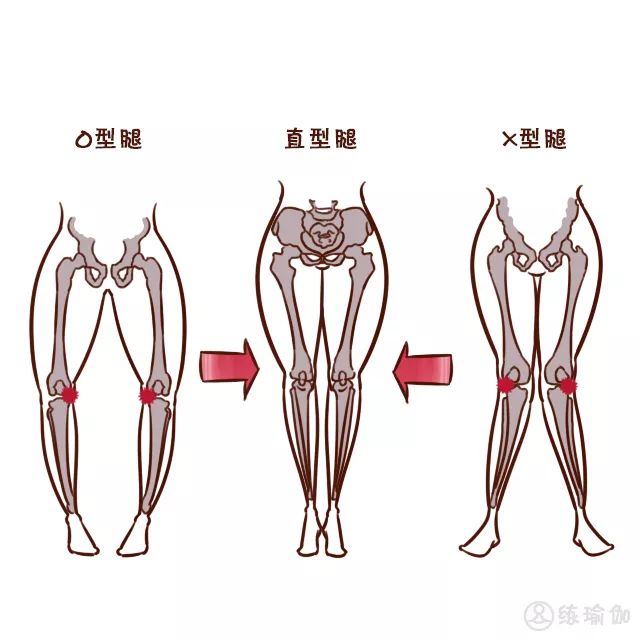 瑜伽练习中,看到自己小腿肚子特别粗,并老是感觉腰疼