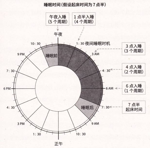 跟着生物钟,整理你的睡眠!