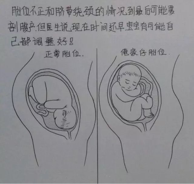 【组图】一个男人用漫画描绘老婆从怀孕到生产的所有细节,感动到哭!