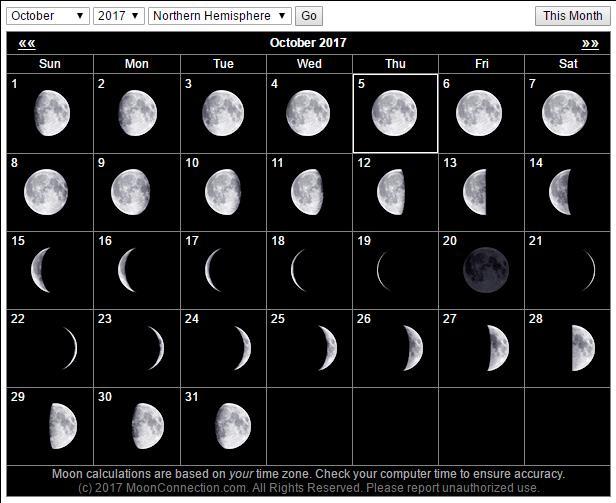 本月北半球的月相图,白色方框内的便是今日的月相,可见明日的月亮其实
