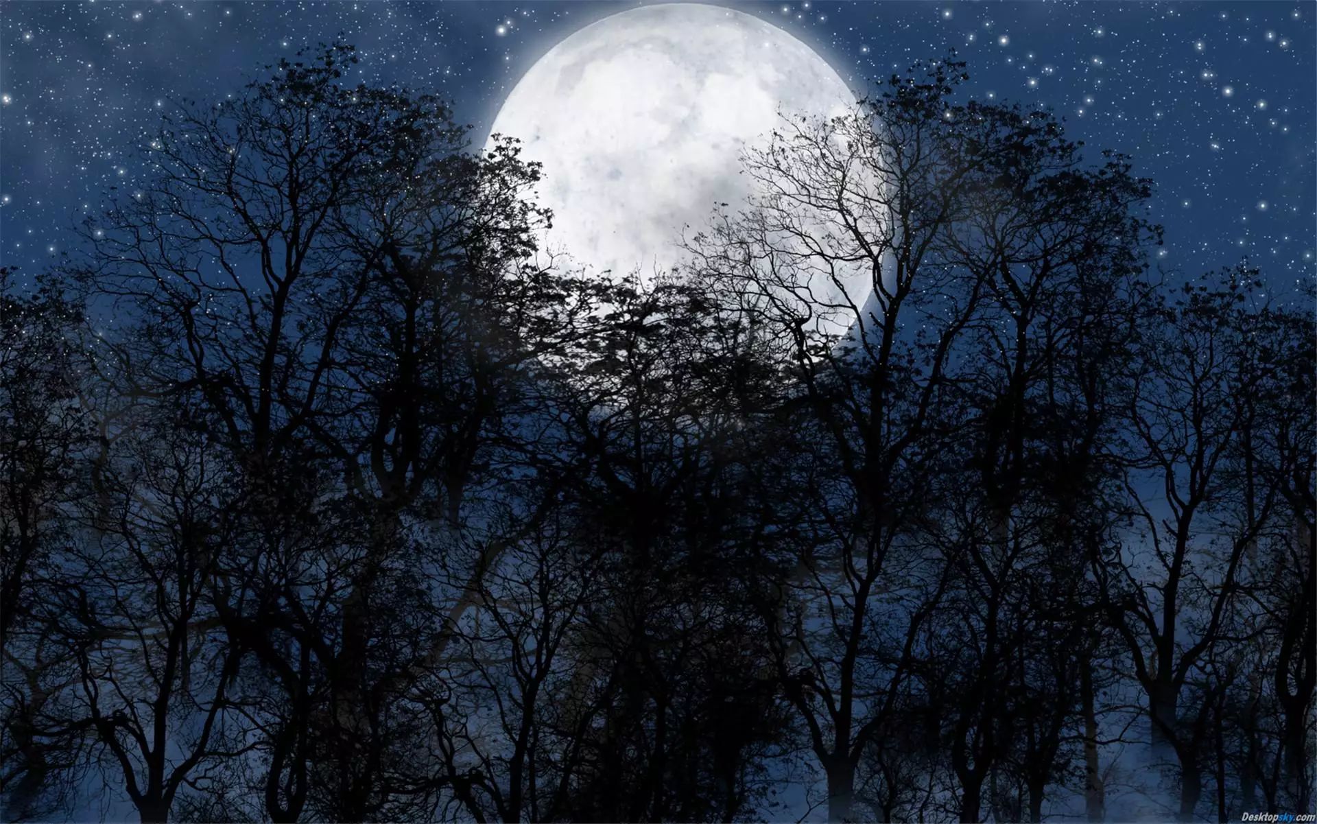 这其实是一个简单的事实,我对比了小时候在番石榴树上看到的月亮,大