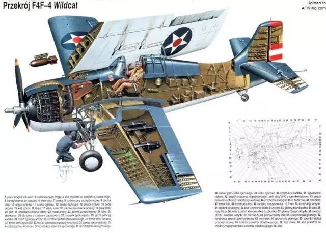 战斗机的折叠处在翼根处f6f"地狱猫"折叠处在翼中美国f4u"海盗"战斗机