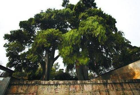 三尖山法界寺海潮寺凤溪寺丰泽源植物园红军长征纪念塔福朗里休闲度假