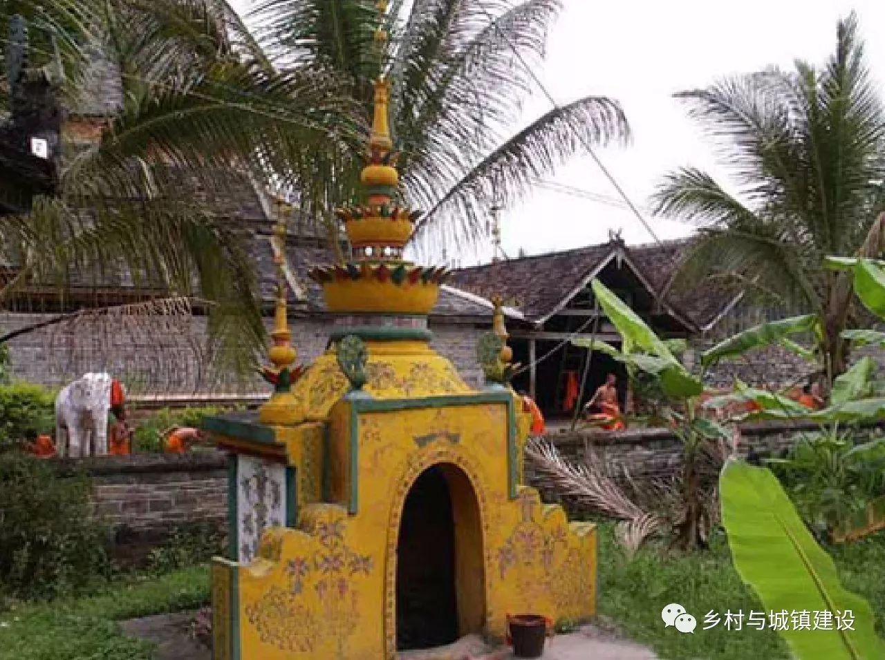 西双版纳藏了一个曼掌村 这里有最原始最浪漫的傣族风情_斗鸡