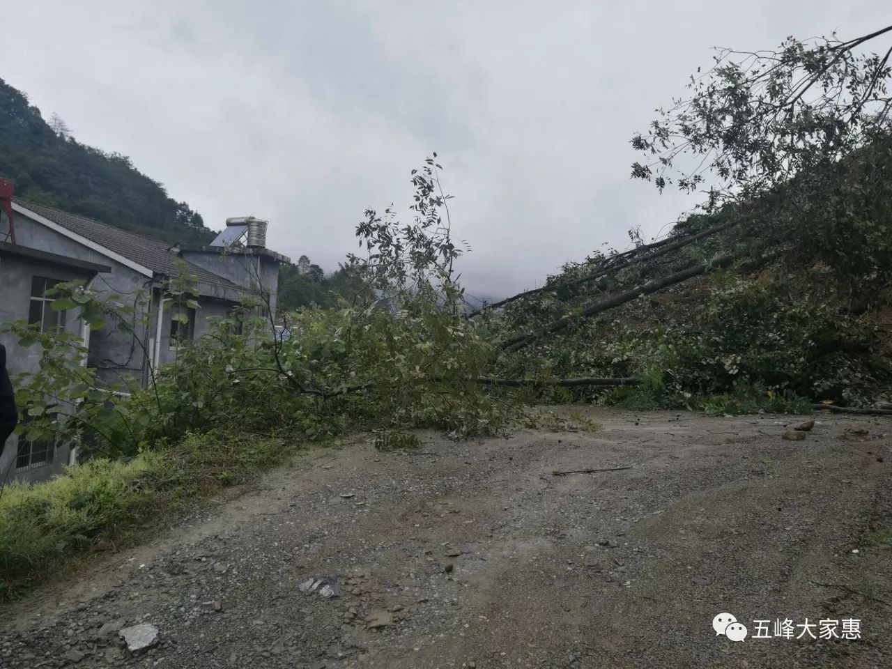 近日五峰阴雨连绵,出行注意交通安全!