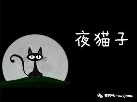 今年诺贝尔奖告诉我们:强迫夜猫子早睡不利健康!