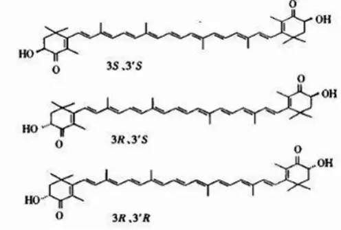 1 结构与性质 虾青素是类胡萝卜素的含氧衍生物,属于酮式类胡萝卜素