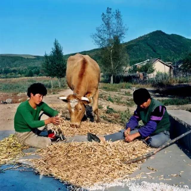 东北乡村人口_东北地区人口分布图