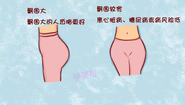 女性的4种臀型透漏健康状况,你知道么?