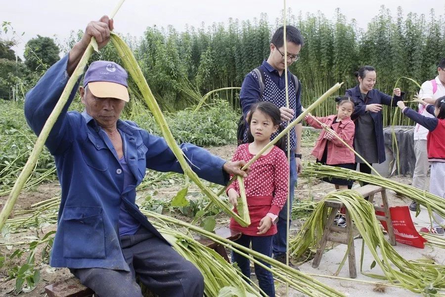 采棉,剥麻,掰玉米;缫丝,剥茧,上织机!一起来看看中丝