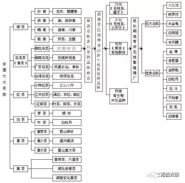 (收藏)一次性把中国茶讲清楚"茶"的分类,图解