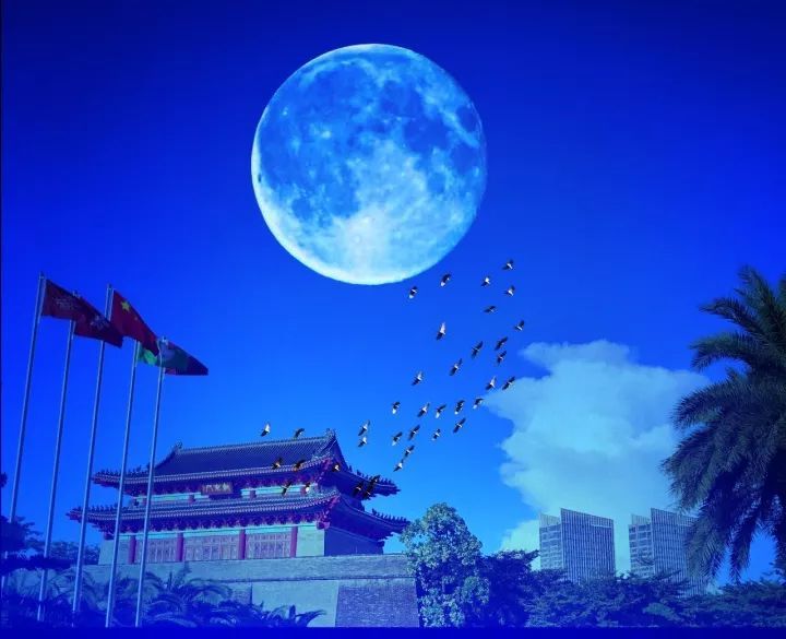 你看到没?惠州上空的月亮!