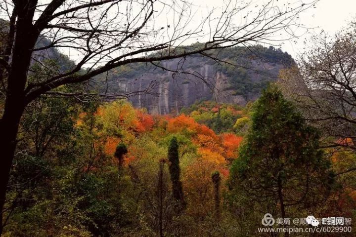 秀房沟里赏红叶