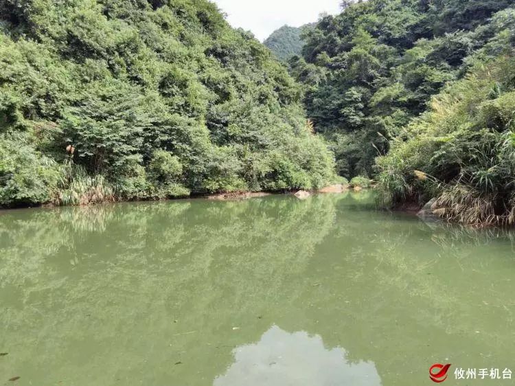 坐落在黄丰桥镇广和村的天蓬岩,据清同治《攸县志》记载,因山中洞壑