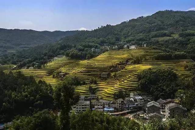 林川位于瑞安西部山区.