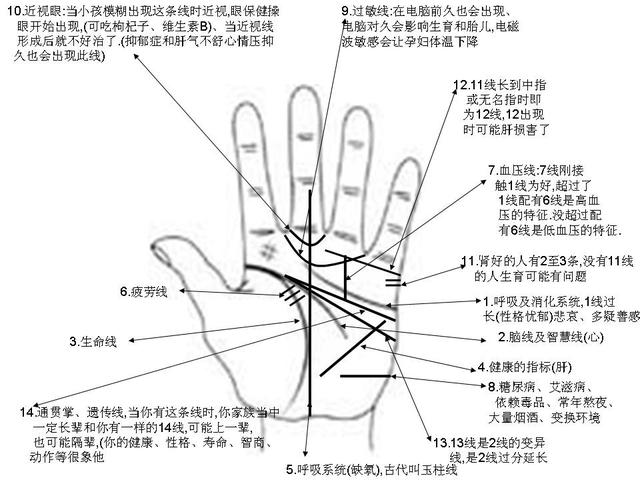 手诊面诊:如何根据手掌纹理符号诊病