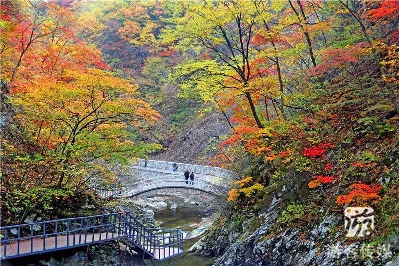 大石湖 老边沟|枫叶正红