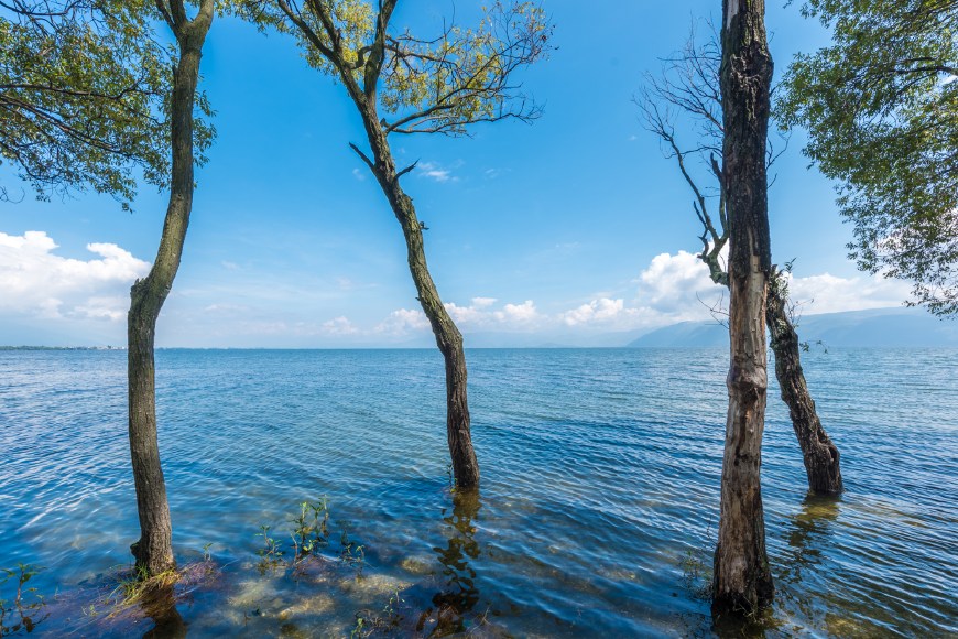 环湖都有美景,如果从大理古城出发,第一站通常是马久邑村,这里洱海