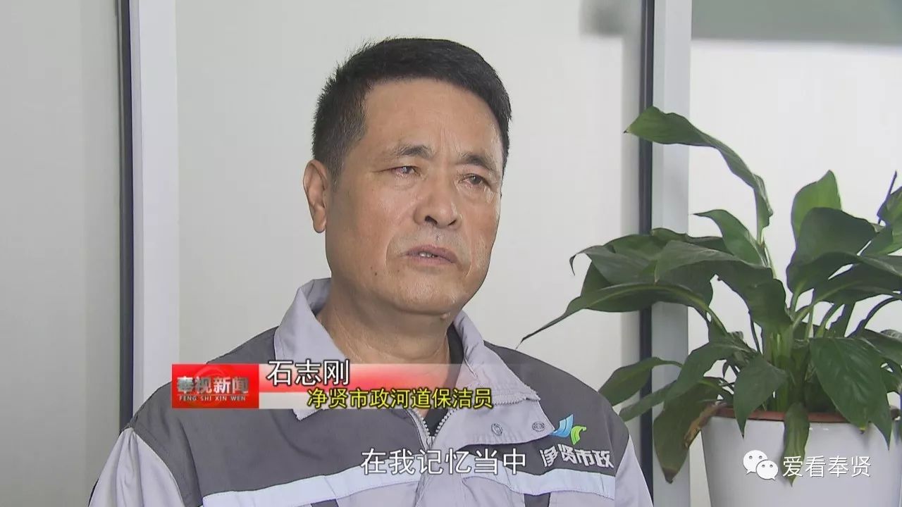 《我在奉贤的这五年》石志刚:水清岸绿 愿望在慢慢实现