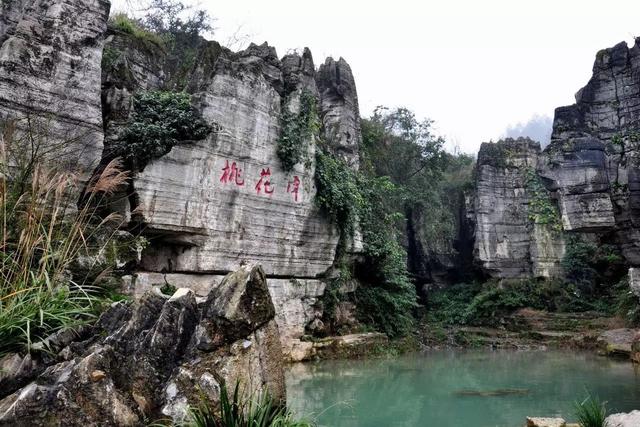 九锅箐森林公园