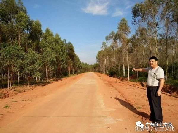 雷州市杨家镇宅湾村委会建设硬底化路基