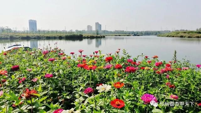 桃花岛,沙沟湖…… 提起这两个公园市民都非常熟悉 但说到 隆丰湖