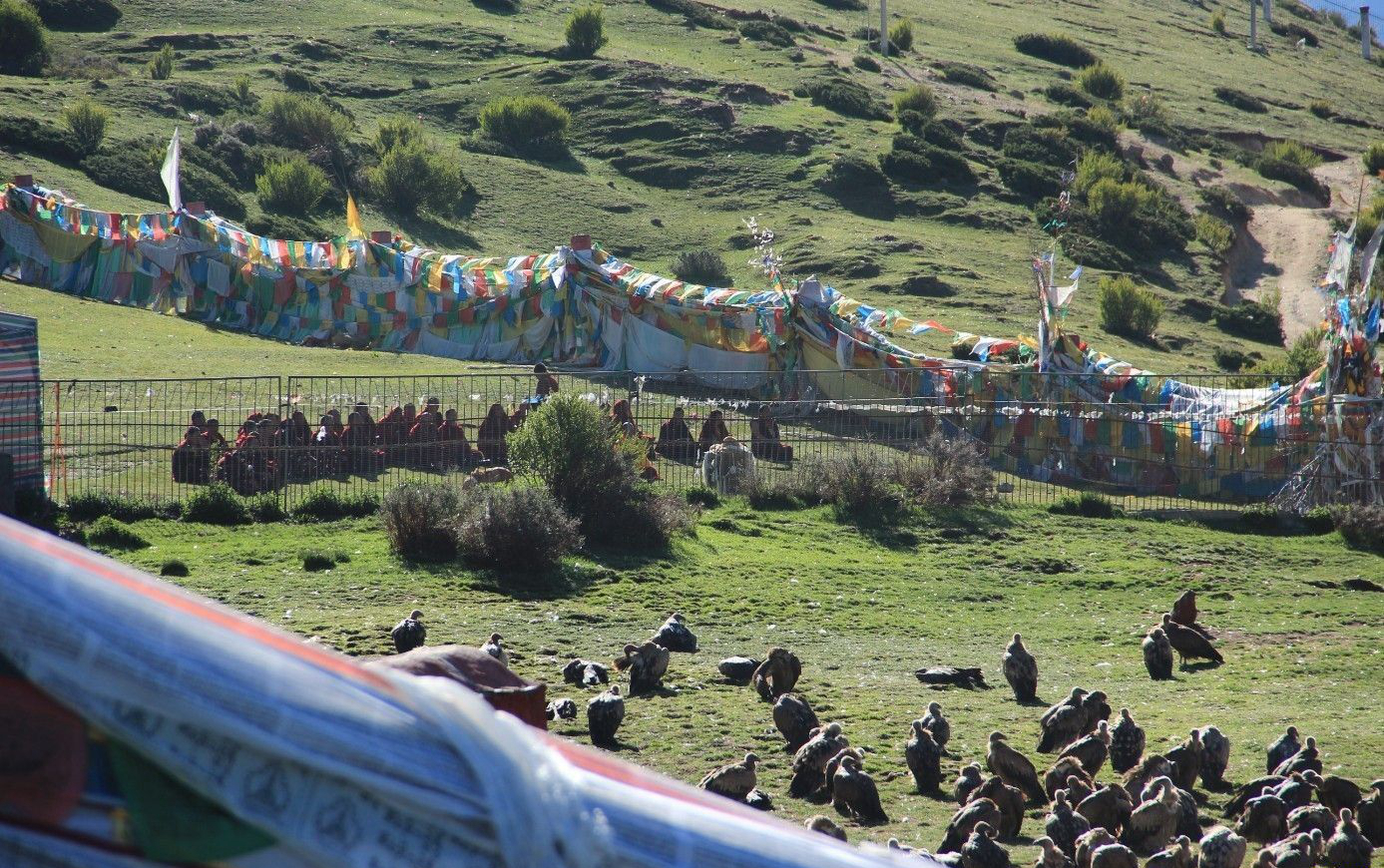 旅行趣闻 | 一直以为川藏线最著名的天葬台在色达_搜狐旅游_搜狐网