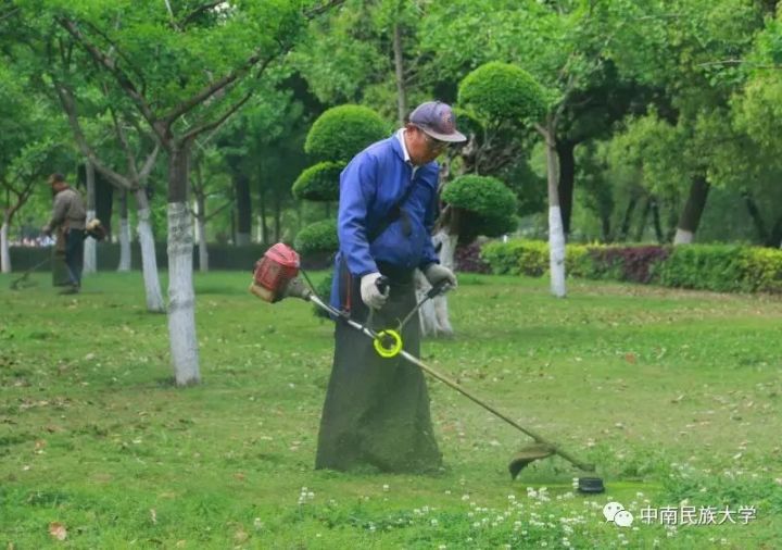 月正圆草正绿,民大园丁告诉你花草"不老"的秘密