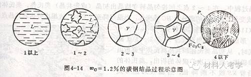 11%) p (珠光体): 铁素体(a) 渗碳体(fe3c)  共析反应: 727℃  w α 0