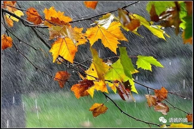 每到阴雨连绵的日子,我的心情就会莫名的压抑.