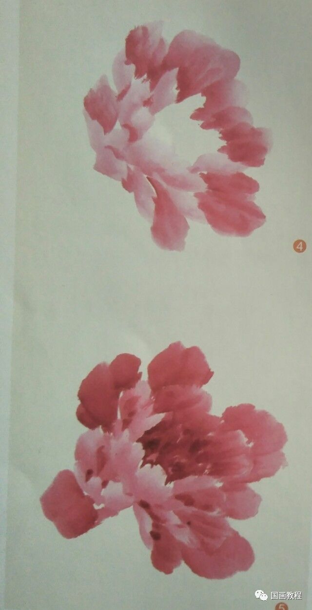 国画教程1课不同姿态花头的画法