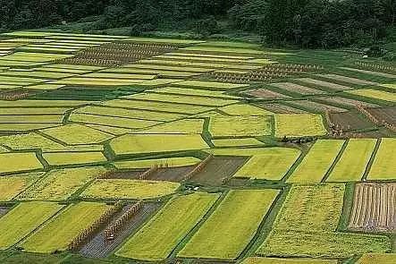 资讯| 全国永久基本农田总体划毕,实际划定15.50亿亩!