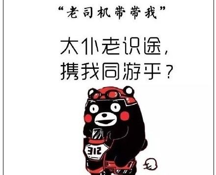 怎么办用文言文怎么说