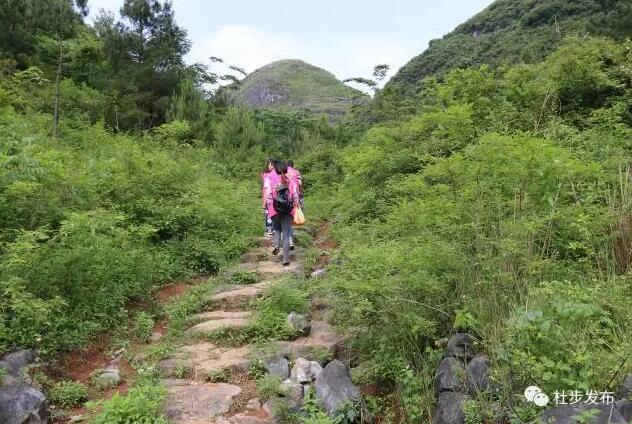 10月7日与你相约杜步元江村,一起重现"山楂树之恋"的经典桥段!